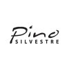 PINO SILVESTRE